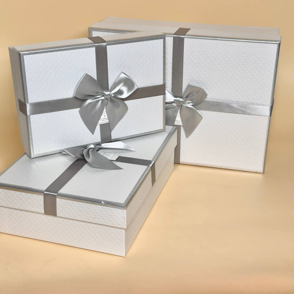 Набір подарункових коробок прямокутних білого кольору 