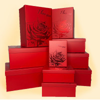 Подарункові коробки Rose, набір з 10 штук 
