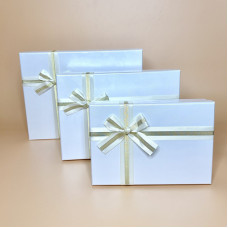 Набір прямокутних подарункових коробок з бантом білого кольору